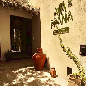 Ama Y Prana